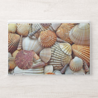 Sea Shells HP Laptop Skin
