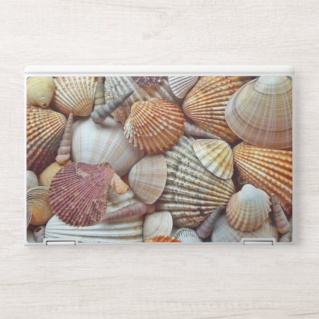 Sea Shells HP Laptop Skin (Front)