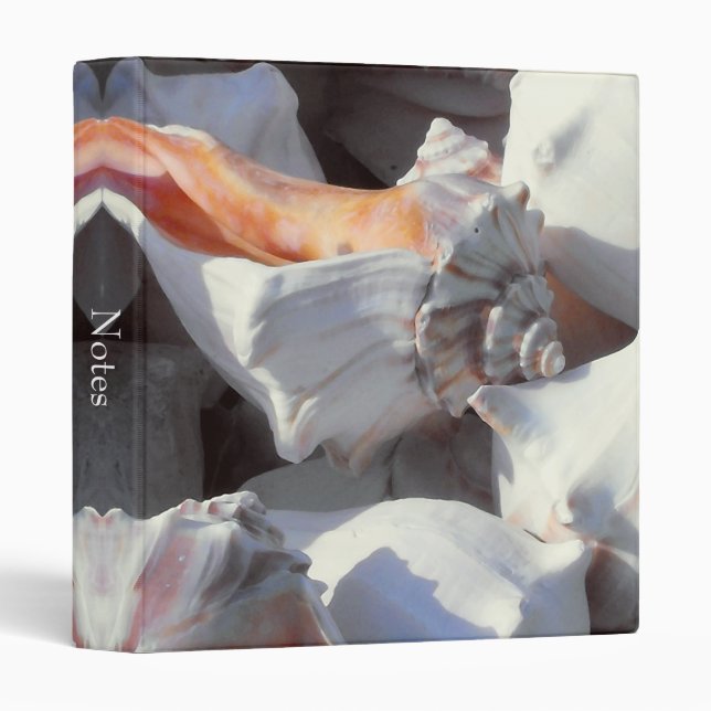 Sea Shells in sunlight and shadow Binder (Front/Spine)