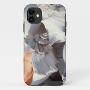 Sea Shells in sunlight and shadow iPhone 11 Case
