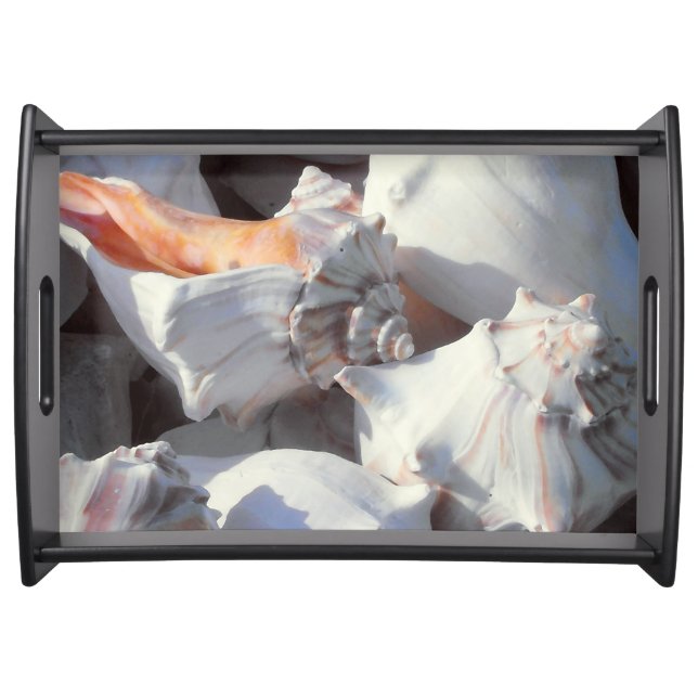 Sea Shells in sunlight and shadow Serving Tray (Front)