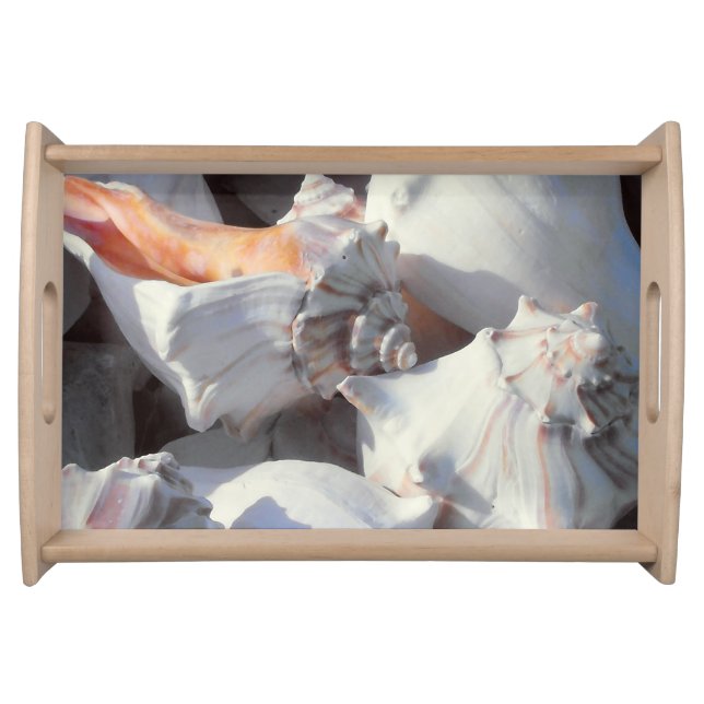 Sea Shells in sunlight and shadow Serving Tray (Front)