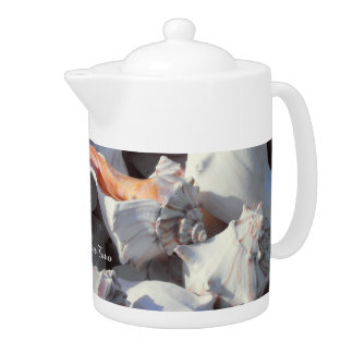 Sea Shells in sunlight and shadow Teapot
