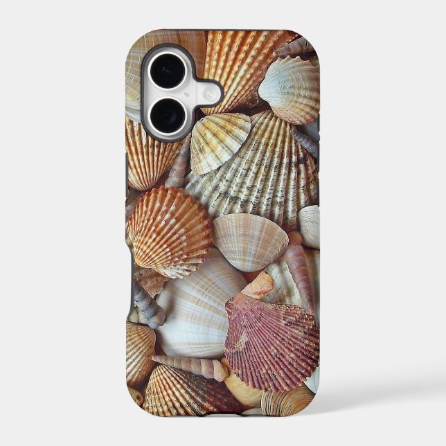 Sea Shells Iphone Case (Back)