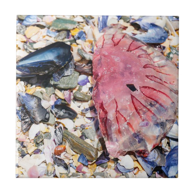 Sea Shells Jellyfish Ocean Beach View Ceramic Tile (Front)