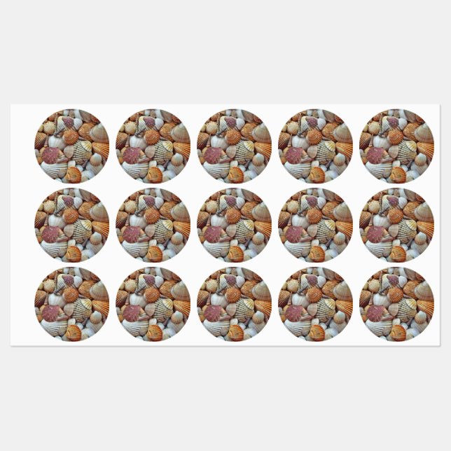 Sea Shells Labels (Sheet)