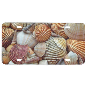 Sea Shells License Plate