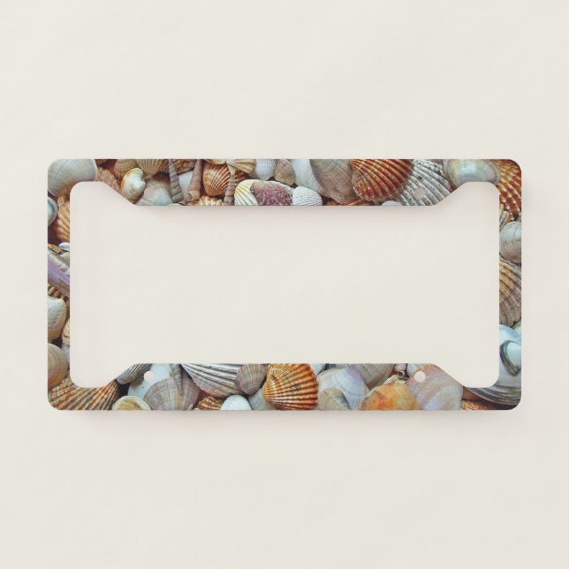 Sea Shells License Plate Frame (Front)