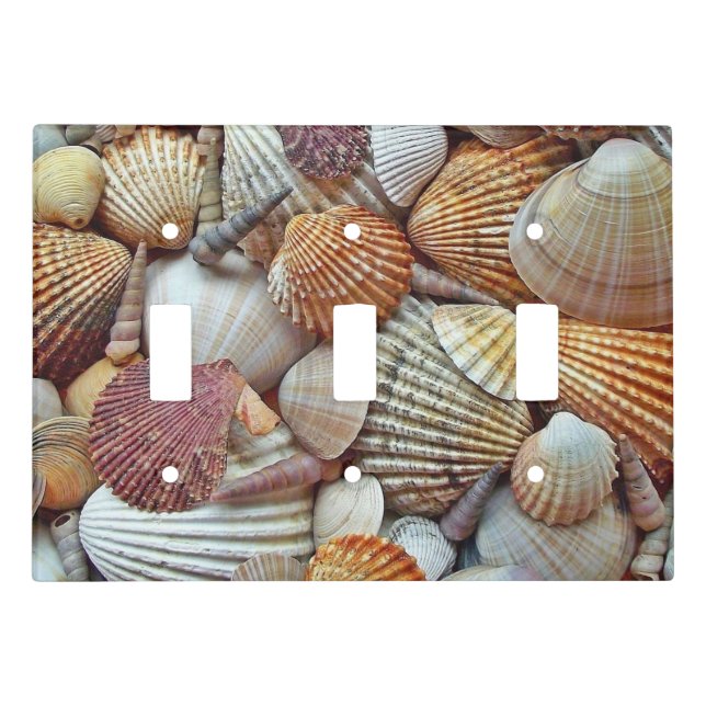 Sea Shells Light Switch Cover (Front)