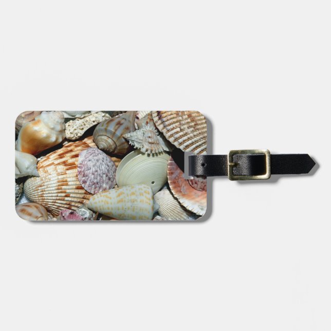 Sea Shells Luggage Tag (Front Horizontal)