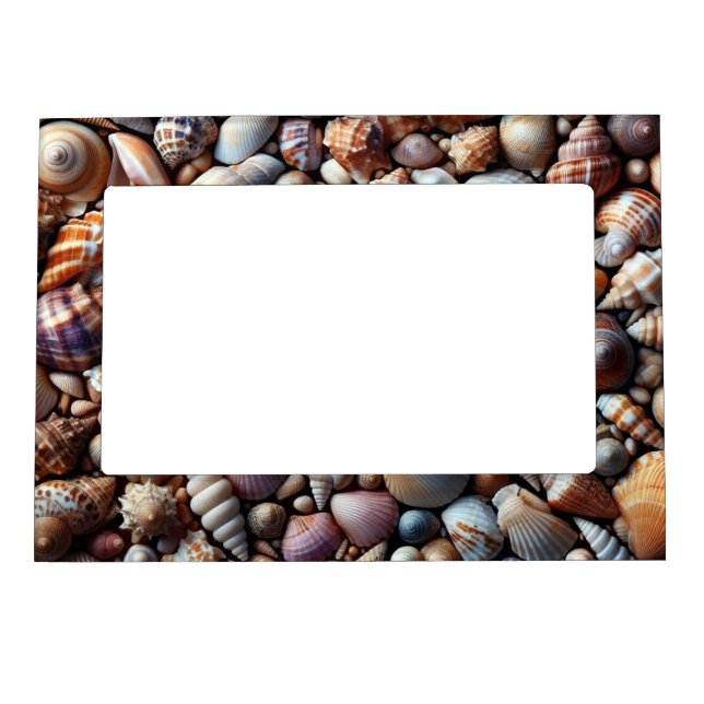 Sea Shells Magnetic Frame (Front)
