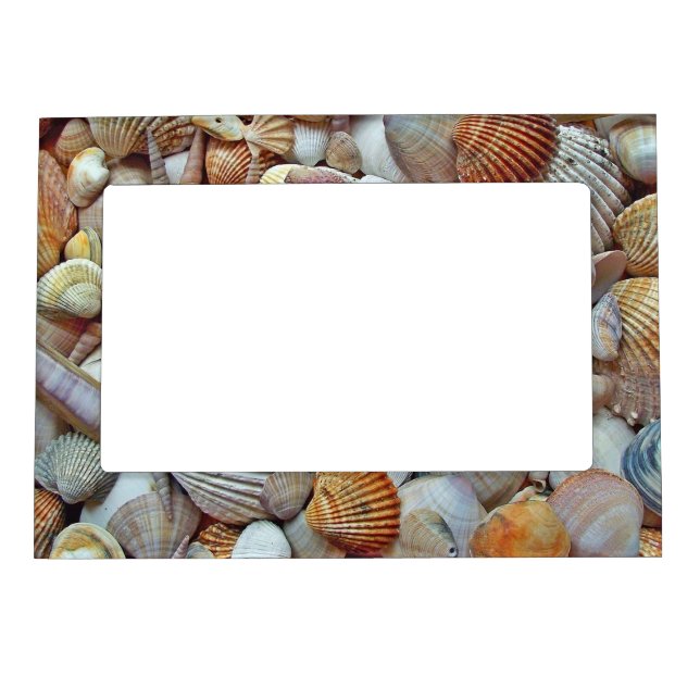 Sea Shells Magnetic Frame (Front)