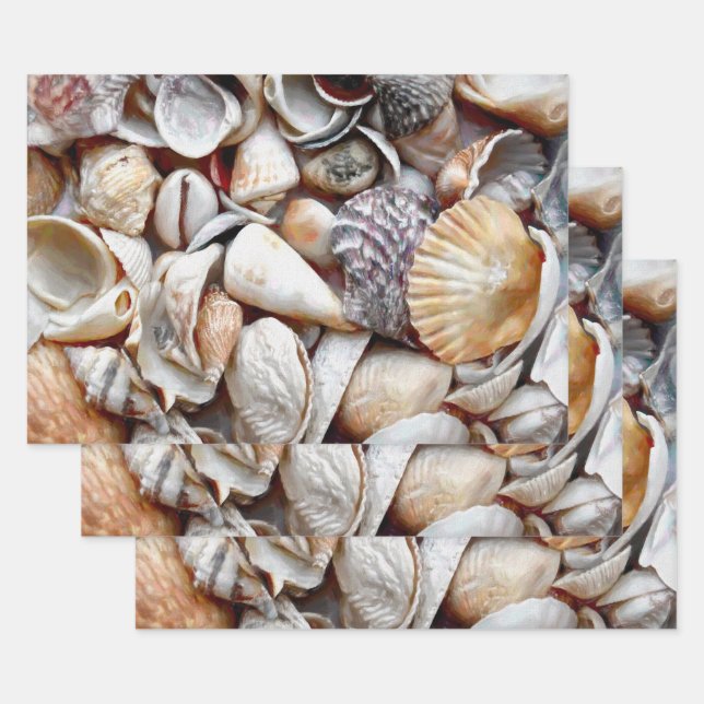 Sea Shells Ocean Beach Beautiful Decoupage Wrapping Paper Sheets (Set)