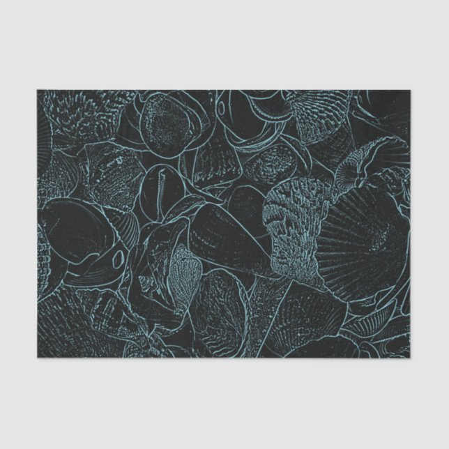 Sea Shells Ocean Beach Black Teal Sketch Art Tissue Paper (Front)