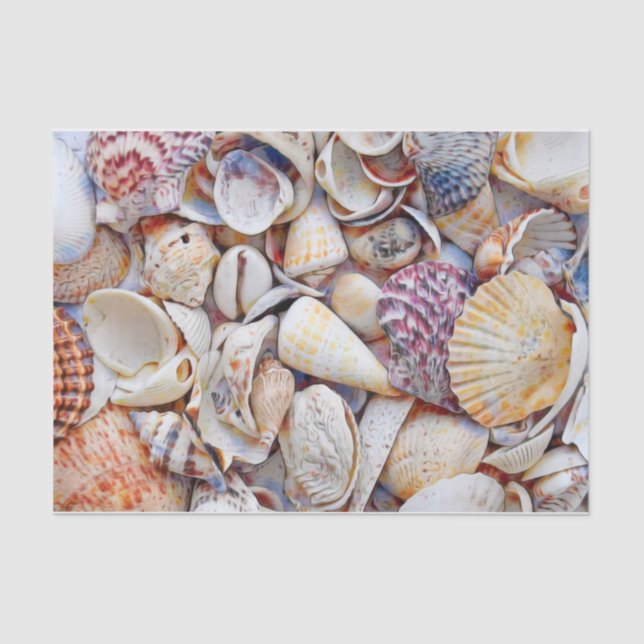 Sea Shells Ocean Beach Watercolor Decoupage Tissue Paper (Front)