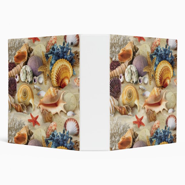 Sea shells on beach 3 ring binder (Background)