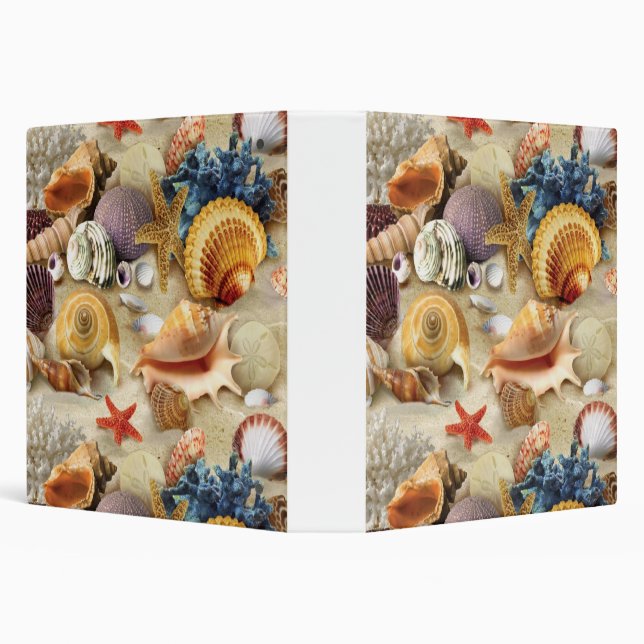 Sea shells on beach 3 ring binder (Background)