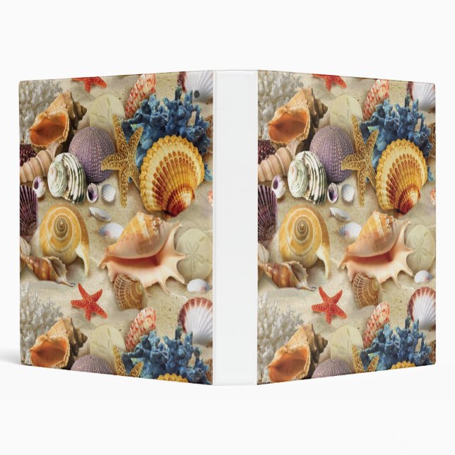 Sea shells on beach 3 ring binder (Background)