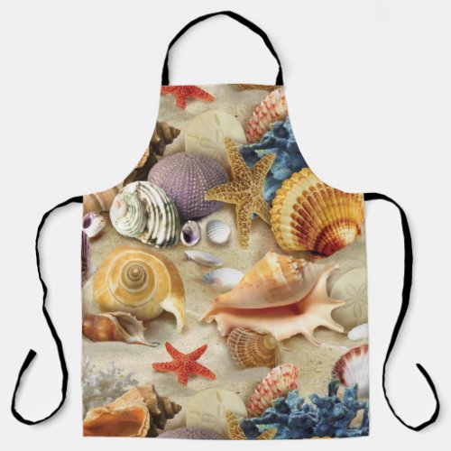 Sea shells on beach apron