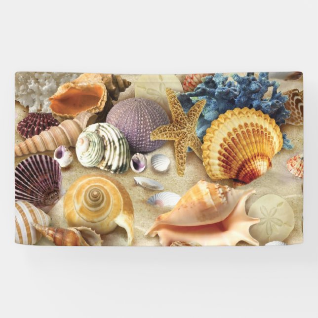 Sea shells on beach banner (Horizontal)