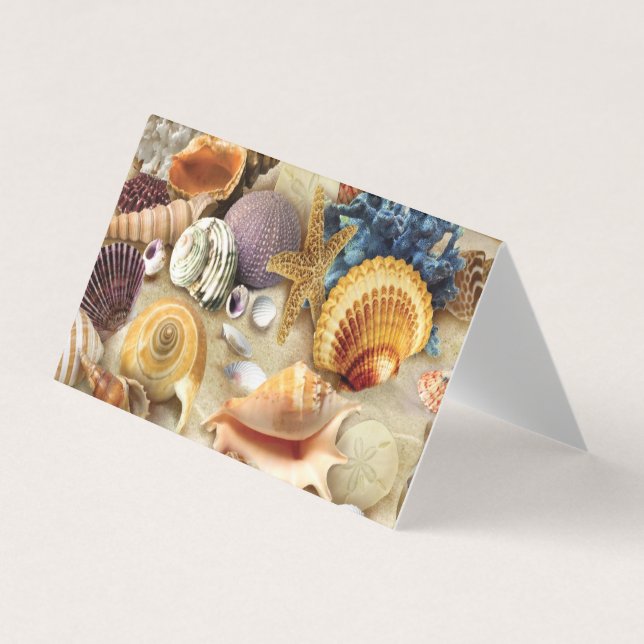 Sea shells on beach business card (Front)