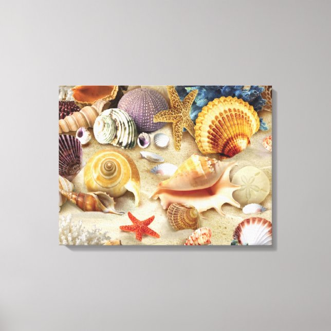 Sea shells on beach canvas print (Front)