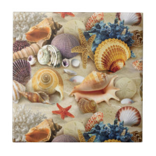 Sea shells on beach ceramic tile