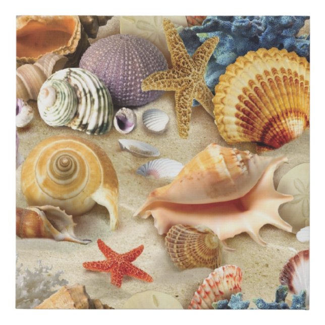 Sea shells on beach faux canvas print (Front)