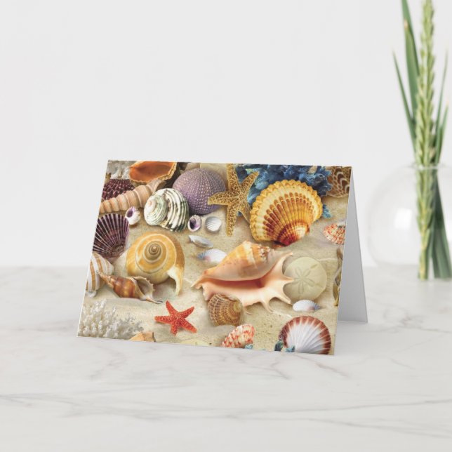 Sea shells on beach holiday card (Front)