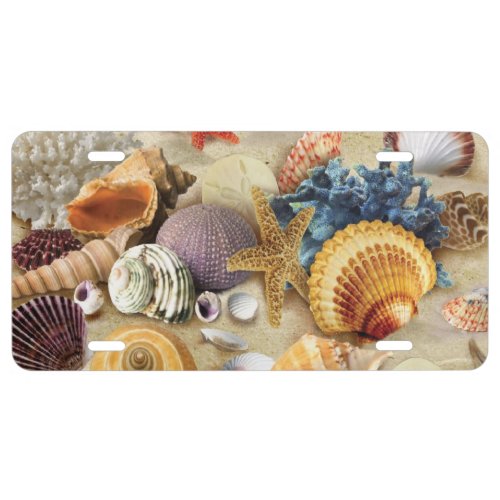 Sea shells on beach license plate