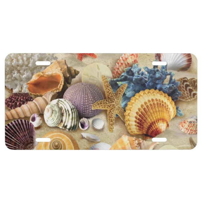 Sea shells on beach license plate (Front)