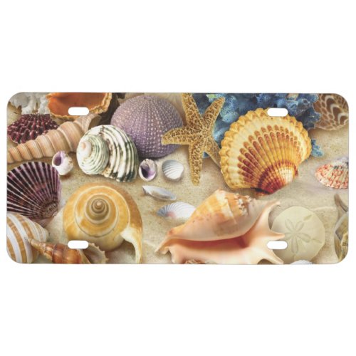 Sea shells on beach license plate