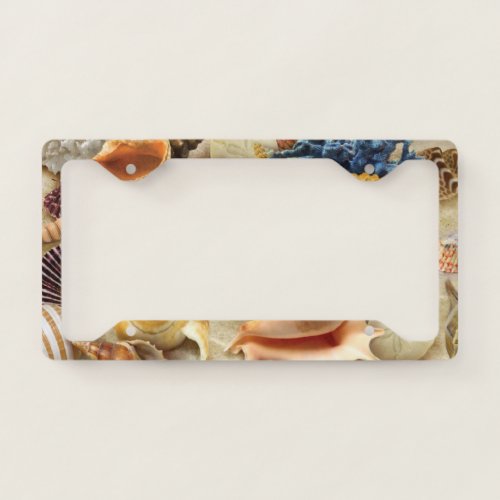 Sea shells on beach license plate frame