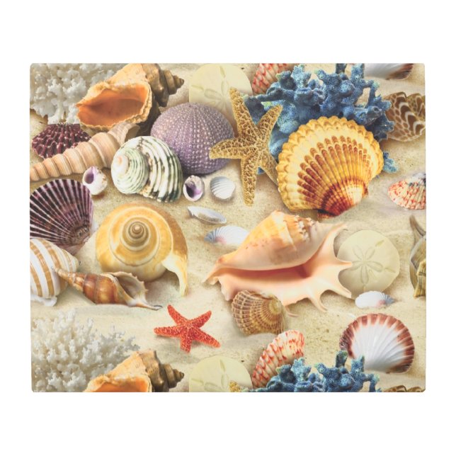 Sea shells on beach metal print (Front)
