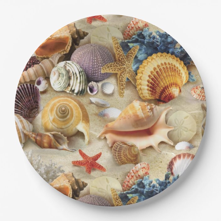 Sea shells on beach paper plate | Zazzle.com