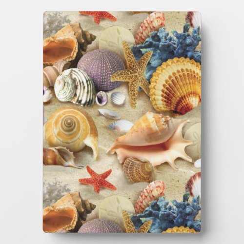 Sea shells on beach plaque