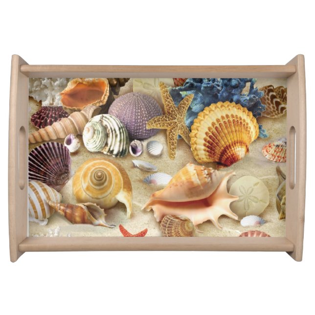 Sea shells on beach serving tray (Front)