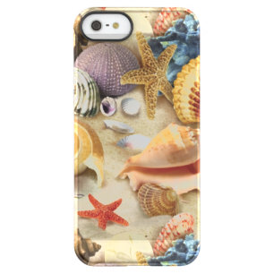 Sea shells on beach permafrost iPhone SE/5/5s case