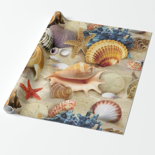 Sea shells on beach wrapping paper (Unrolled)