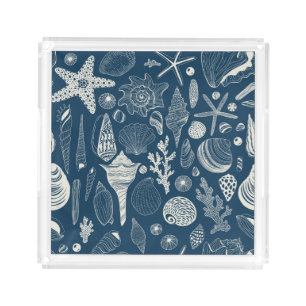 Sea shells on dark blue acrylic tray