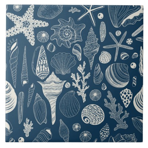 Sea shells on  dark blue ceramic tile