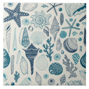 Sea shells on off white ceramic tile