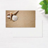 Sea shells on the beach (Desk)