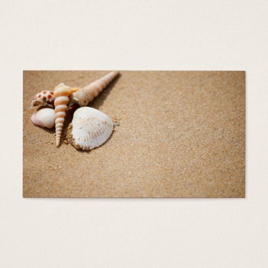 Sea shells on the beach (Front)