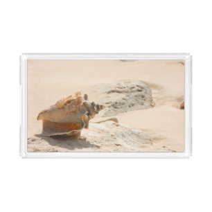 Sea Shells On The Beach Acrylic Tray