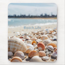 Sea Shells on the Beach