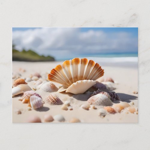 Sea shells on the beach postcard