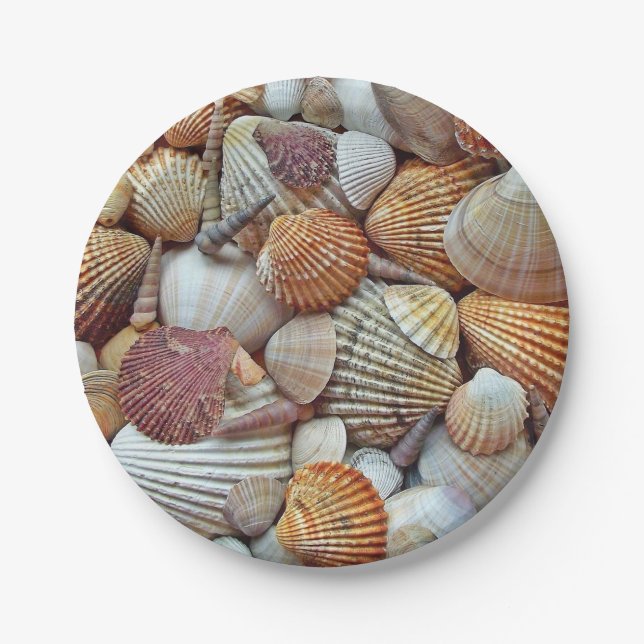 Sea Shells Paper Plates (Front)