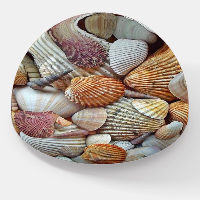 Sea Shells Paperweight (Angled)