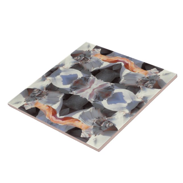 Sea Shells Pattern Tile (Side)